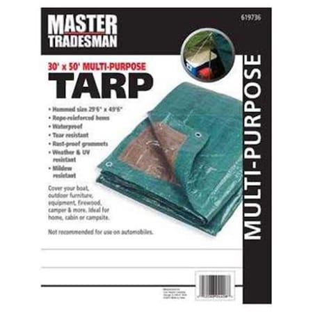 Master Tradesman Tarp, Hunter Green, Polyethylene 619736